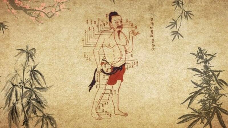 historia da cannabis achados