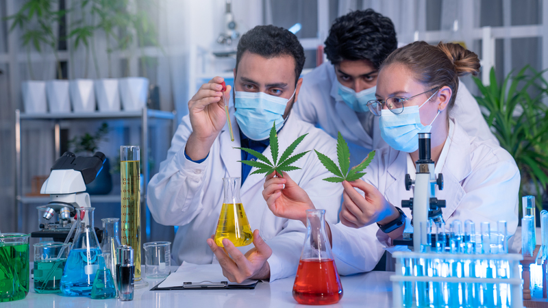 microdose de cbd funciona