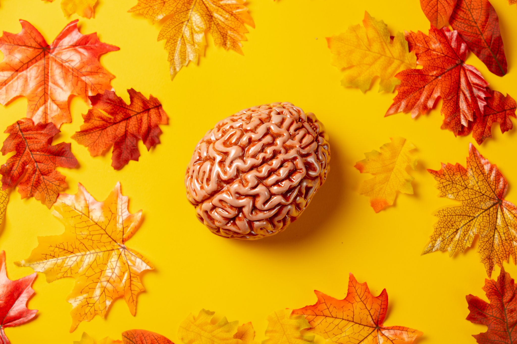 CBD e neuroplasticidade: como o canabidiol pode regenerar o cérebro no Alzheimer