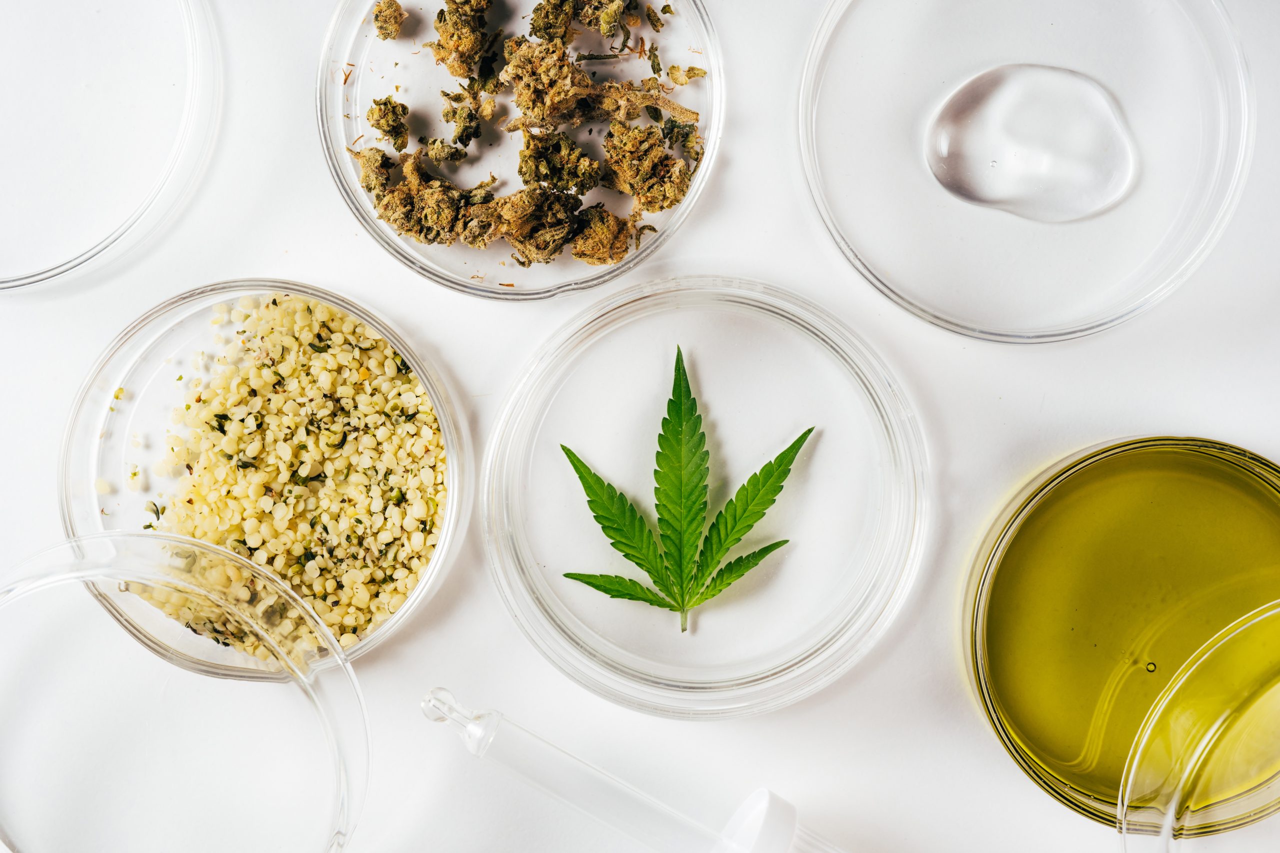 Técnica inovadora para separar THC de extratos de Cannabis