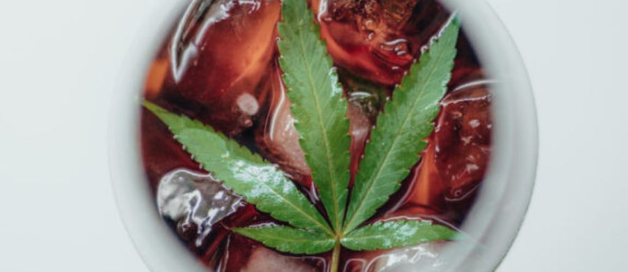 ExpoCannabis Uruguai