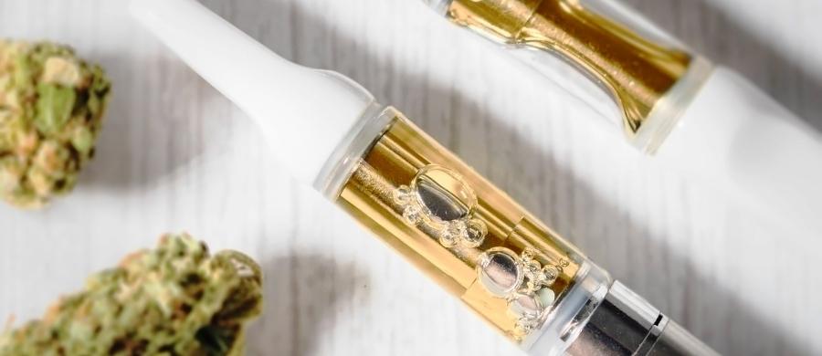 cannabis mais segura que alcool