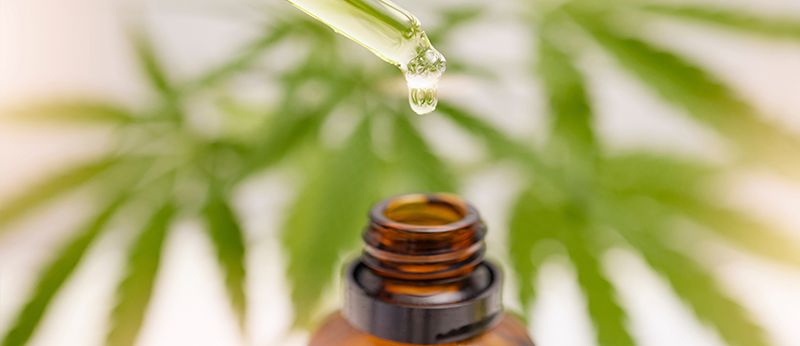 É seguro usar Canabidiol? Saiba como ter um tratamento eficaz