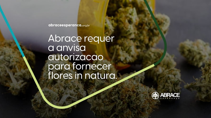Abrace requer a Anvisa autorização para fornecer flores in natura