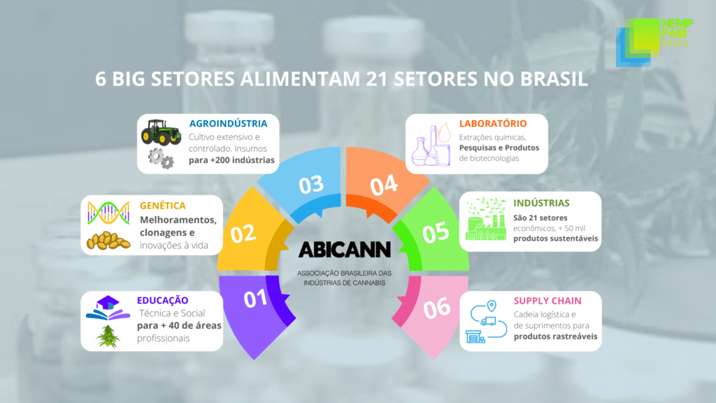 setores onde a Cannabis pode atuar: educação, genética, agroindústria, laboratório, indústrias e supply chain