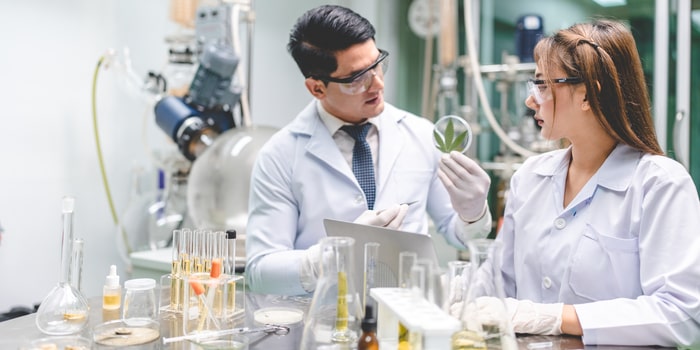 Anandamida laboratorio