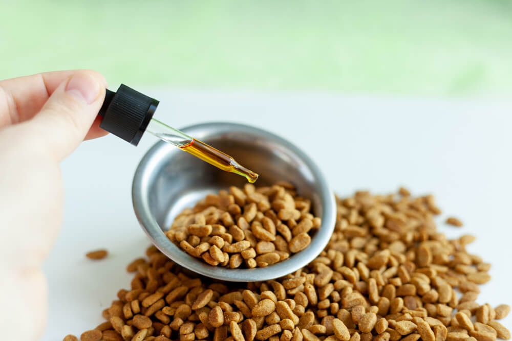 canabidiol para epilepsia canina quanto tempo vive cachorro com epilepsia