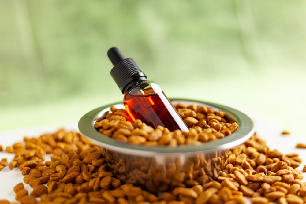 canabidiol para epilepsia canina estudos