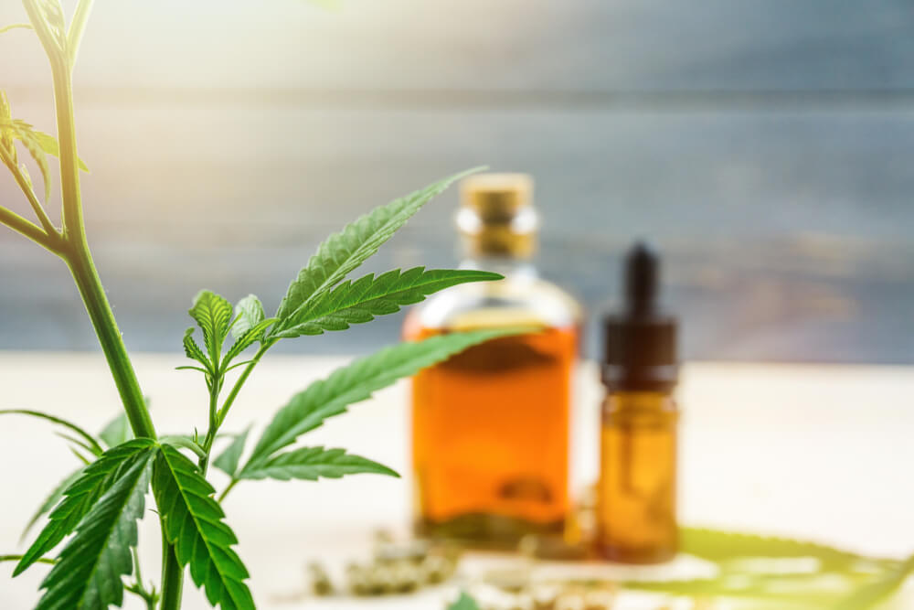 CBD cancer estatisticas sobre no brasil mundo