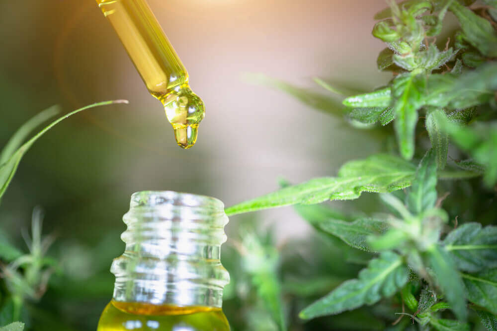 CBD laboratório que tipos de testes existem