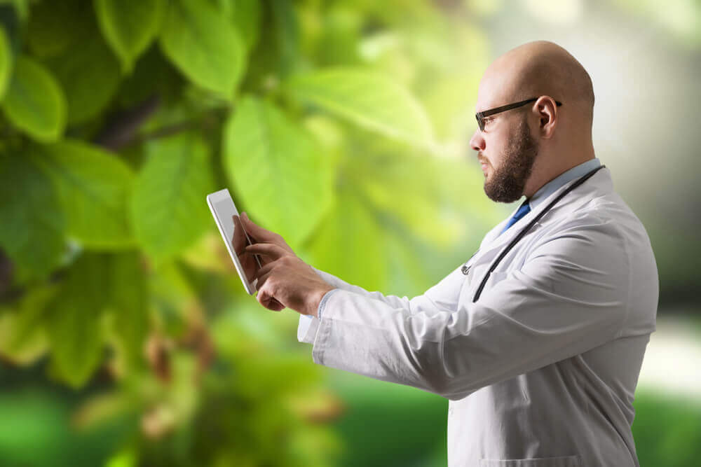 CBD resultados verdades mitos sobre beneficios 