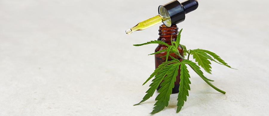 CBD: uma esperança para pacientes com esclerose tuberosa