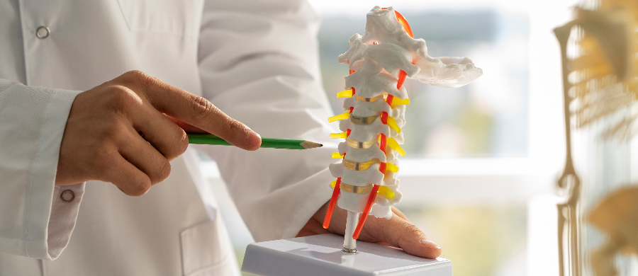 Cannabis no combate à dor associada à lesão na medula espinhal