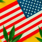 Casa Branca anuncia reclassificação da Cannabis nos EUA