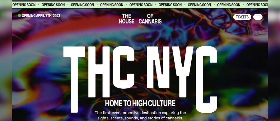 The House of Cannabis
