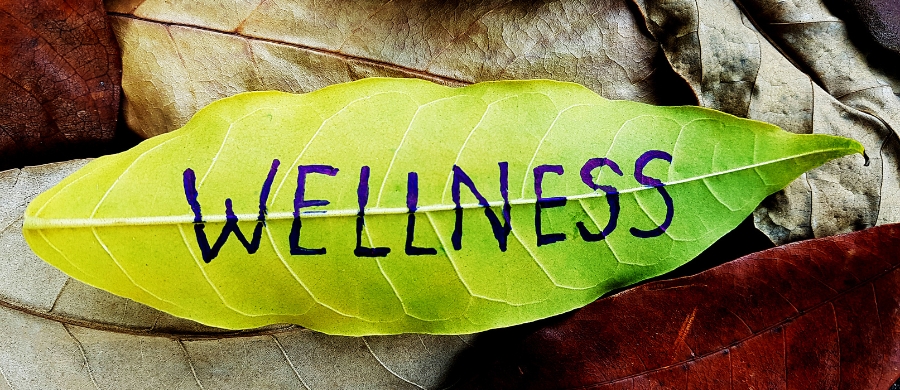 wellness