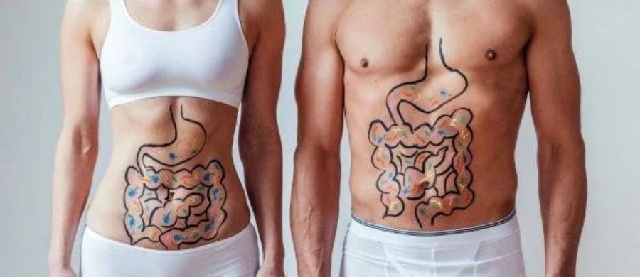 eixo-intestino-cerebro