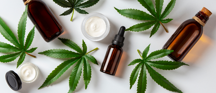 Em estudo, cientistas exploraram a tolerância à Cannabis