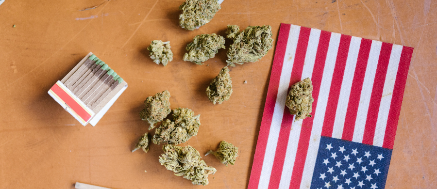 FDA deve reclassificar Cannabis, segundo ex-membro da agência