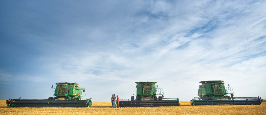 Hemp Fair Experience une Cannabis e Agro em Cuiabá