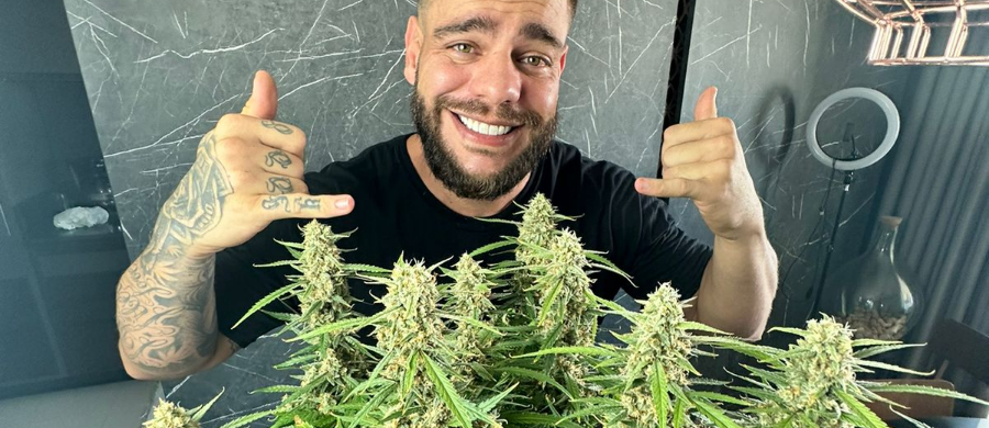 Inédito: paciente odontológico recebeu habeas corpus para autocultivo