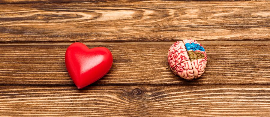 Potencial do CBD na redução de danos cerebrais após isquemia-reperfusão