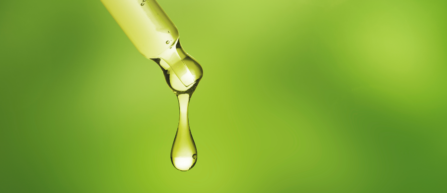 Projeto de Lei propõe Cannabis no SUS no Espírito Santo