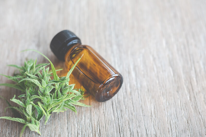 tintura canabica cannabis sativa