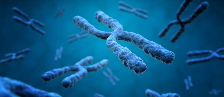 Um novo caminho terapêutico para a síndrome do X frágil