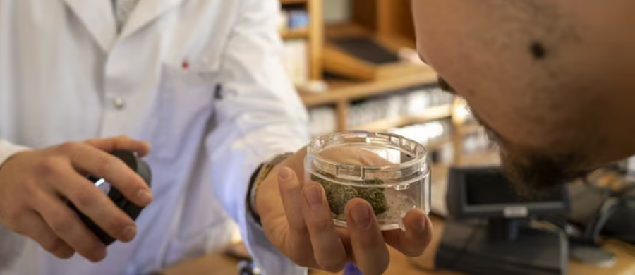 Zurique também fará experimento de Cannabis para uso adulto