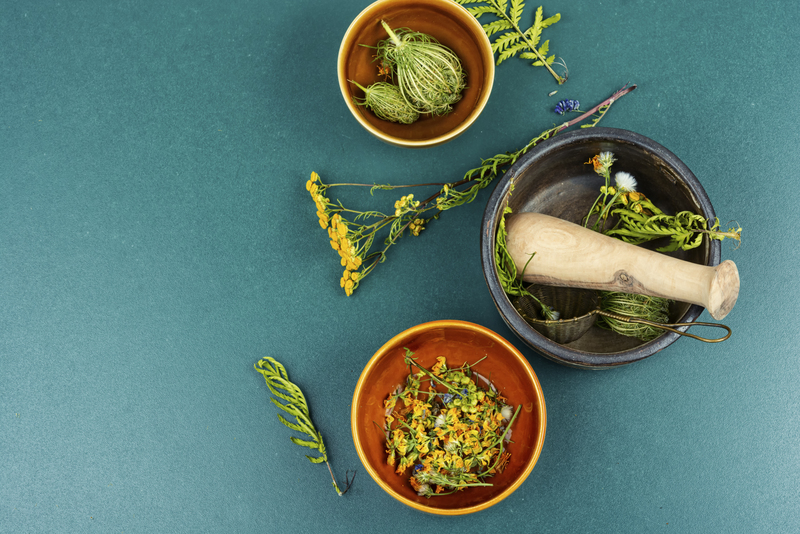 beneficios das plantas medicinais