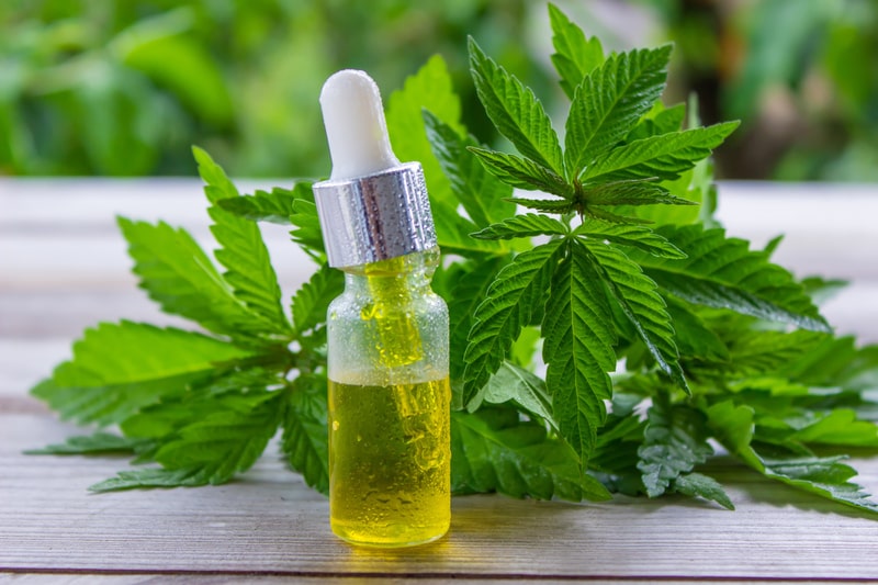 canabidiol dor de cabeca oleo