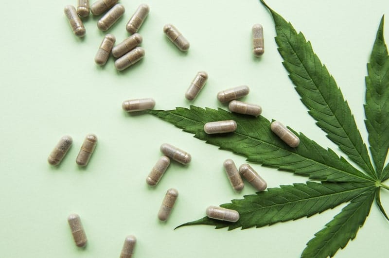 canabidiol engorda capsulas