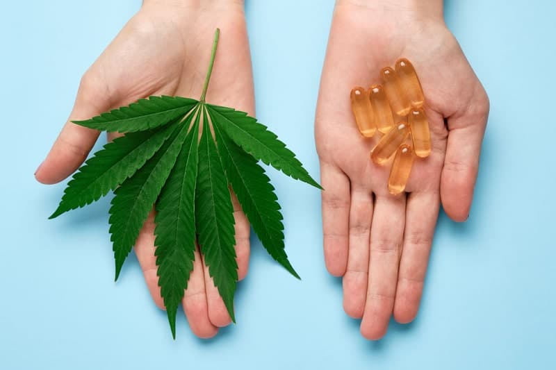 canabidiol engorda medicamento