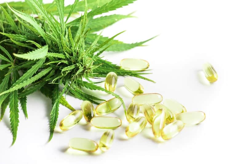 canabidiol engorda pilula