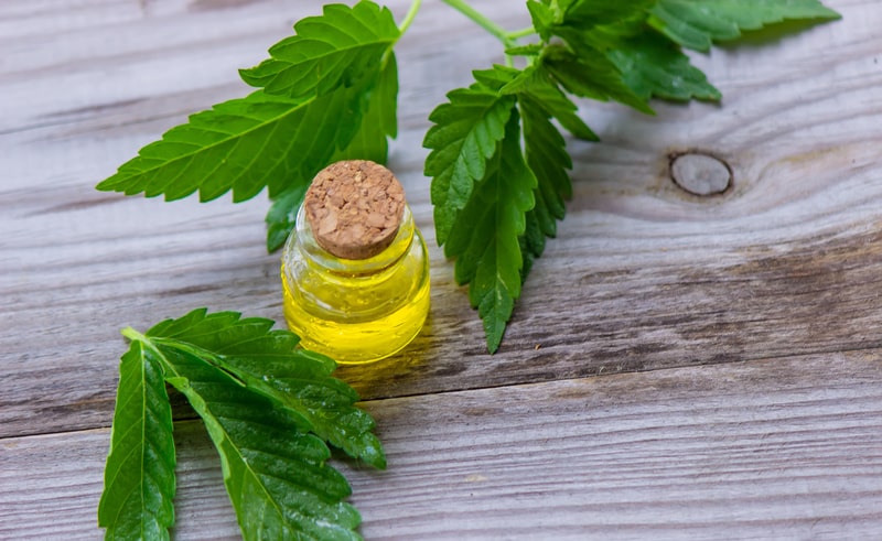 canabidiol para dores articulares oleo