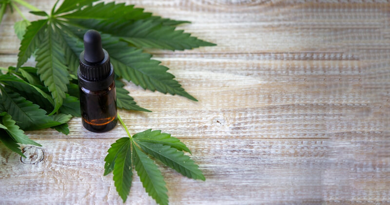 cannabis indica canabidiol