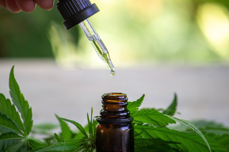 cannabis indica uso medicinal