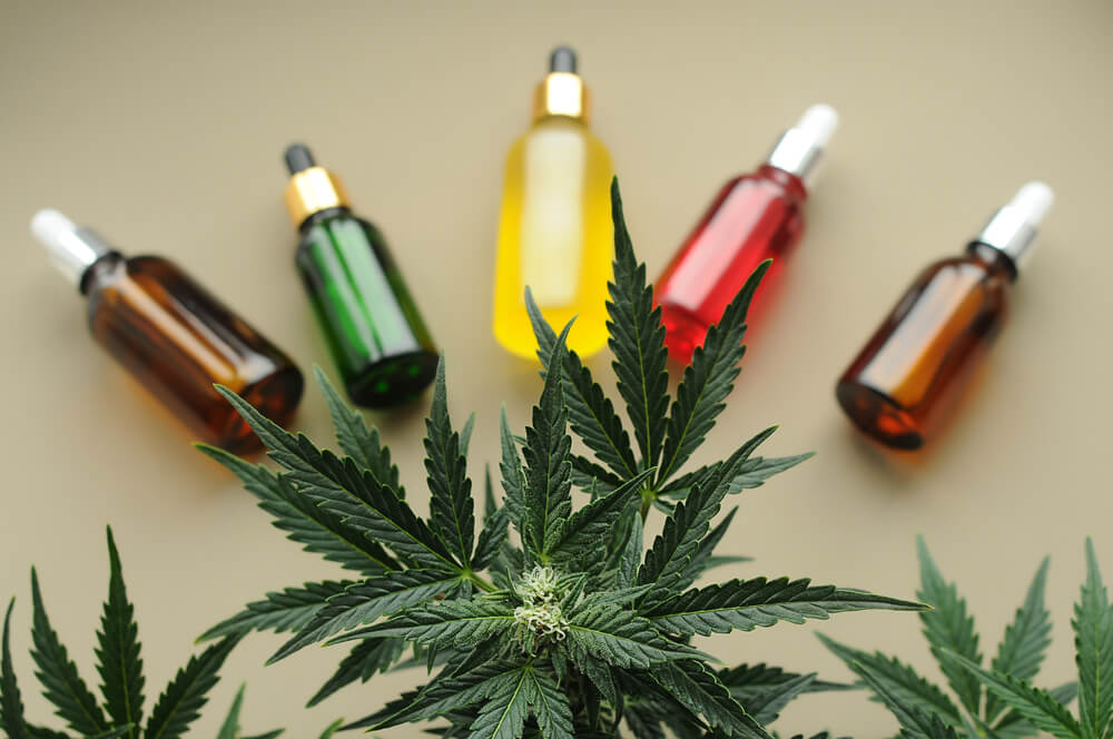 Cannabis medicinal o que é