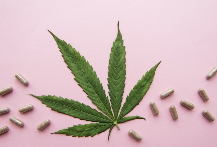 cannabis na psiquiatria planta