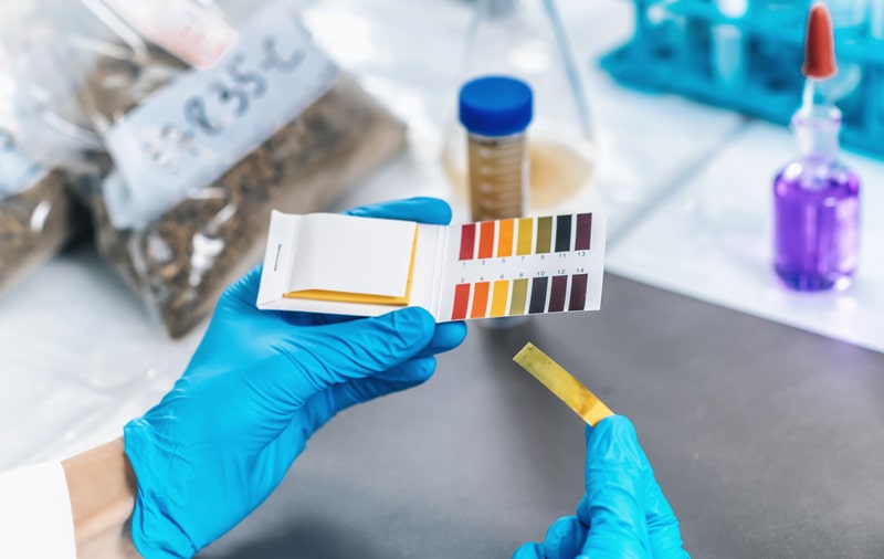 certificado de analise laboratorio