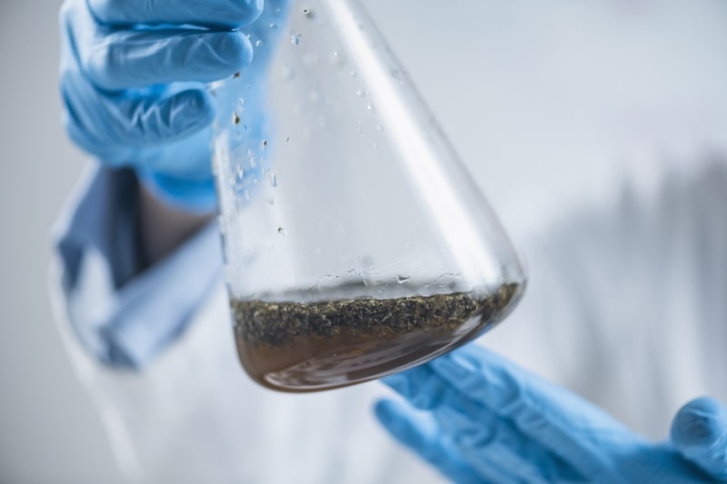 certificado de analise tubo de laboratorio