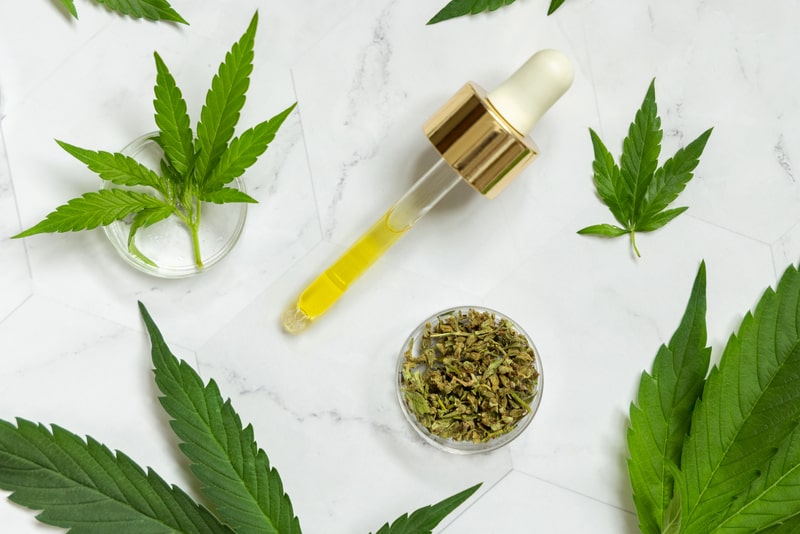 cha de canabidiol conta gotas
