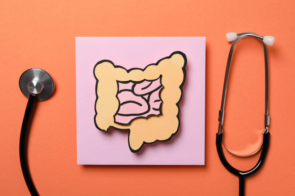 Como o sistema endocanabinoide pode ajudar no tratamento de doenças gastrointestinais