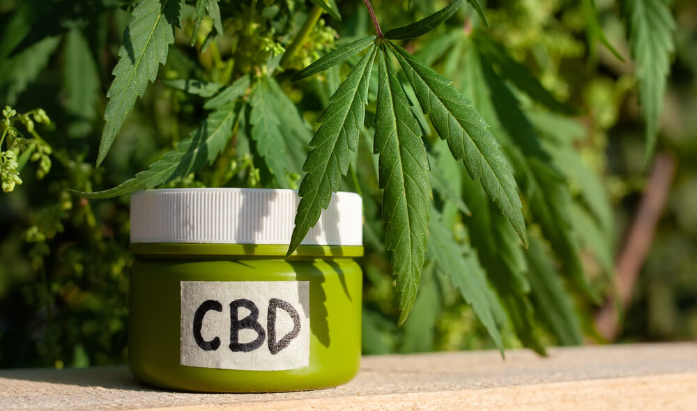 creme canabidiol dicas ao procurar pomada