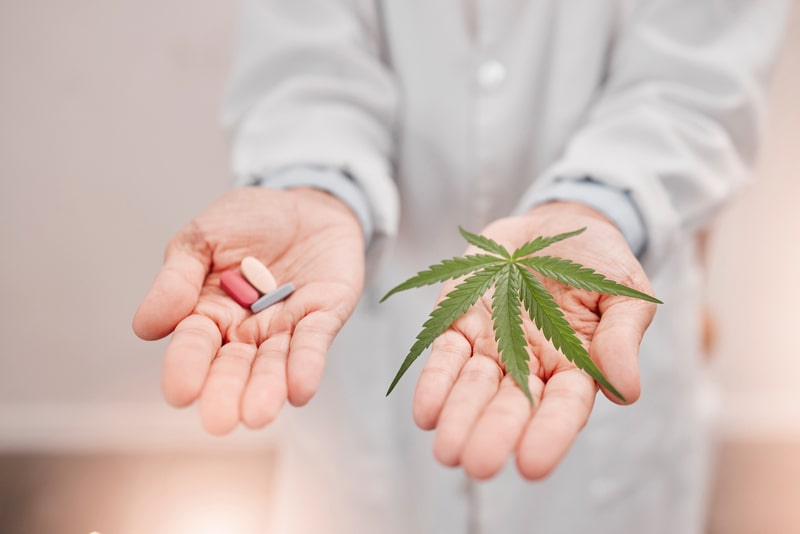 crises de epilepsia cannabis