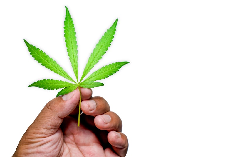 dormencia nas pernas cannabis