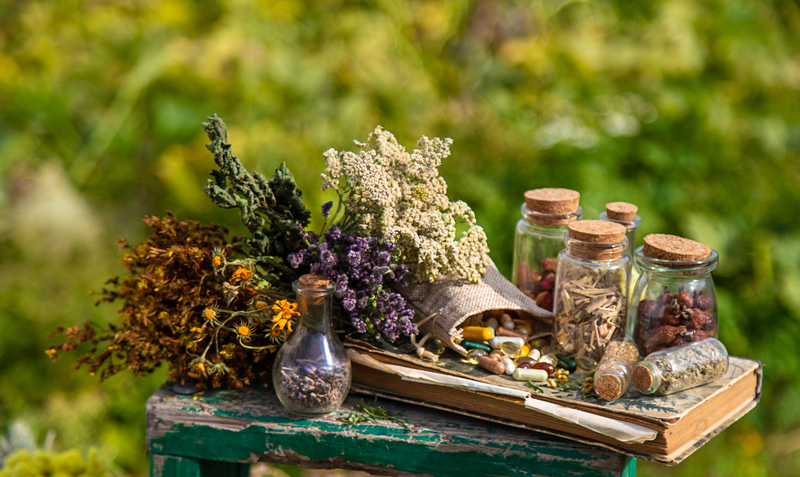 efeitos das plantas medicinais