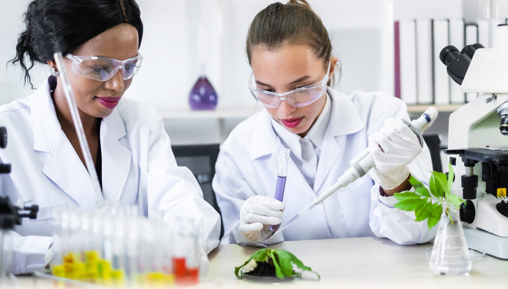 encefalite viral como comprar cbd