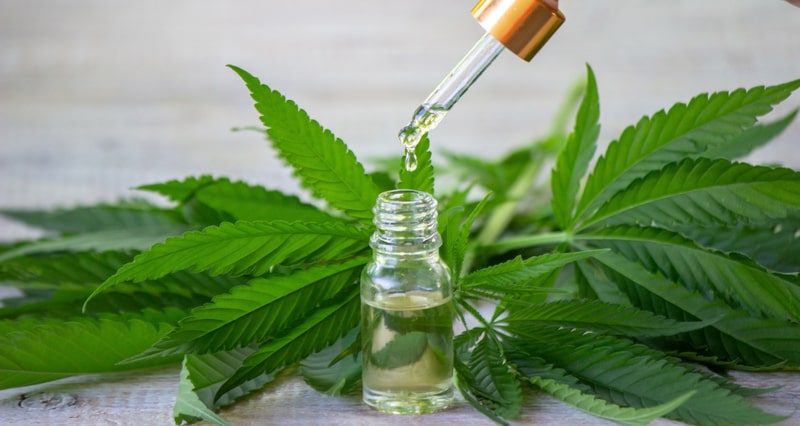 epilepsia focal cannabis